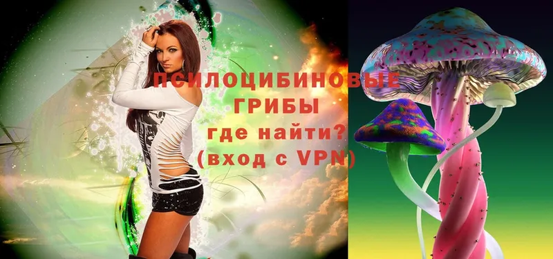 Псилоцибиновые грибы Magic Shrooms  Великие Луки 